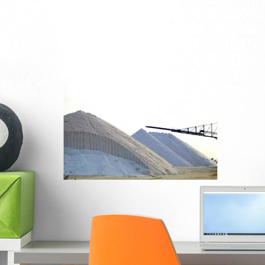 Salt Mine Wall Mural