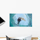 Winter Postcard Sea Calf Wall Decal