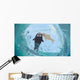 Winter Postcard Sea Calf Wall Decal