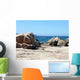 Rock Corsica Wall Decal