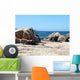 Rock Corsica Wall Decal