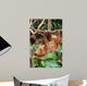 Lazy Wall Decal