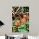 Lazy Wall Decal