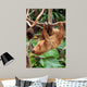 Lazy Wall Decal