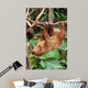 Lazy Wall Decal