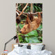 Lazy Wall Decal