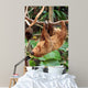 Lazy Wall Decal
