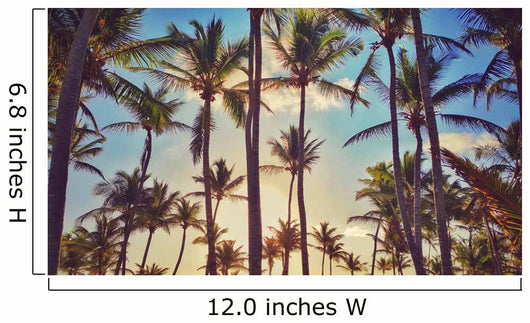 Palm Trees Beach Wall Decal