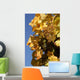 White Grapes Wall Decal