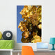 White Grapes Wall Decal