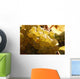 White Grapes Detail Wall Decal