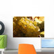 White Grapes Detail Wall Decal
