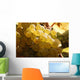 White Grapes Detail Wall Decal