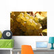 White Grapes Detail Wall Decal