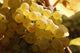 White Grapes Detail Wall Decal