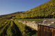 With Vineyard Hut Wall Decal