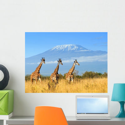 Giraffe National Park Kenya Wall Decal shown on a wall