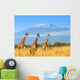 Giraffe National Park Kenya Wall Decal