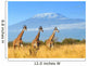 Giraffe National Park Kenya Wall Decal