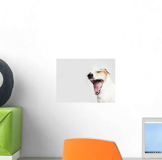 Yawning Dog Russel Terrier Wall Decal