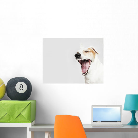 Yawning Dog Russel Terrier Wall Decal