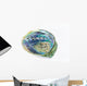 Paua Shell Wall Decal