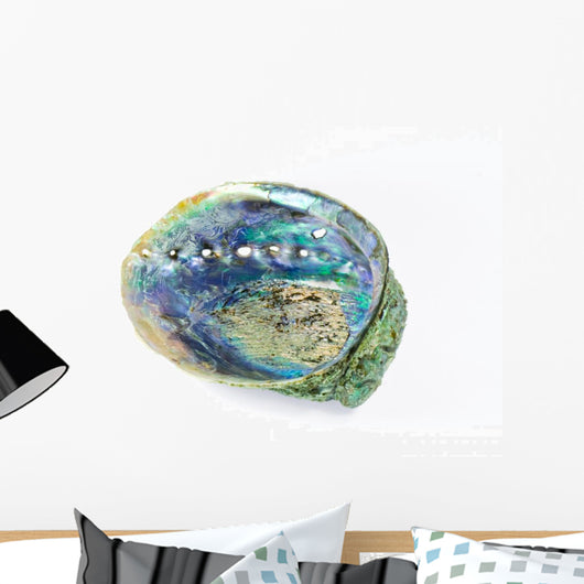 Paua Shell Wall Decal