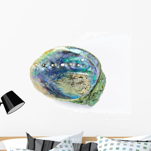 Paua Shell Wall Decal