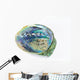 Paua Shell Wall Decal