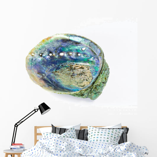 Paua Shell Wall Decal