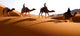 Caravan Wall Decal