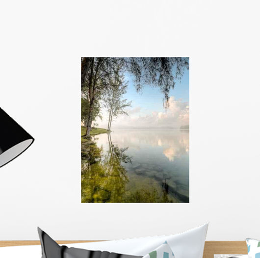 Morning Cloudscape Reflected Still Wall Decal