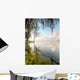 Morning Cloudscape Reflected Still Wall Decal