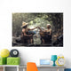 Old Asian Woman Working Wall Decal