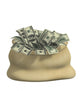 Bag Filled Dollars Wall Decal