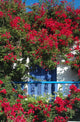 Balcony and Flowers Wall Decal