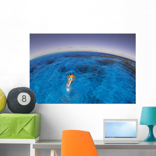 Snorkeler Exploring Lagoon Bora Wall Decal