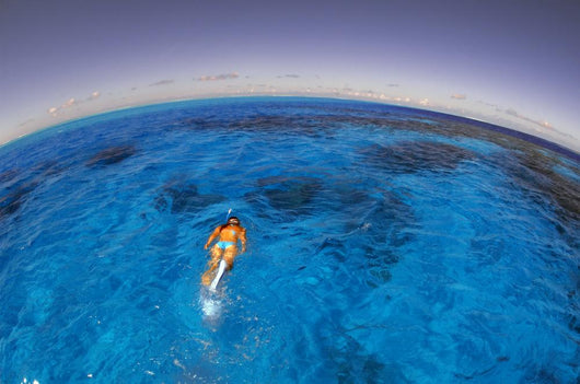 Snorkeler Exploring Lagoon Bora Wall Decal