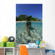 Snorkeler Exploring Starfish Lagoon Wall Decal