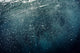 Bubbles Rising from Deep Wall Decal