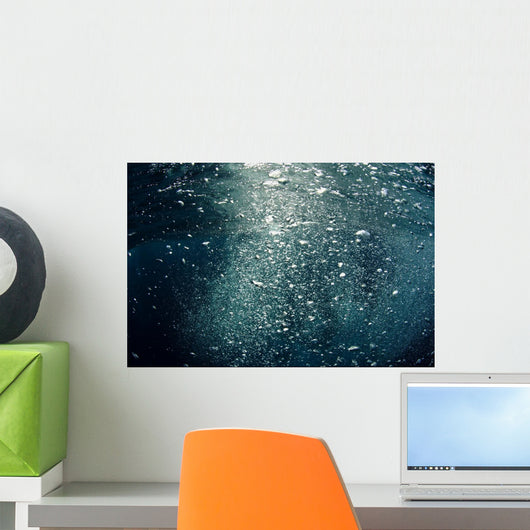 Bubbles Rising from Deep Close-up Wall Decal