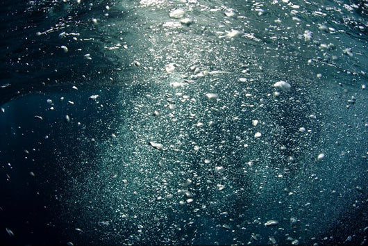 Bubbles Rising from Deep Close-up Wall Decal