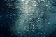 Bubbles Rising from Deep Close-up Wall Decal