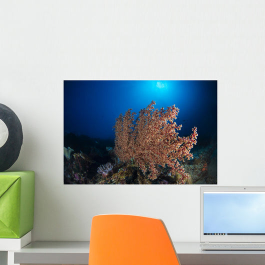 Soft Coral Reef Open Water Wall Decal