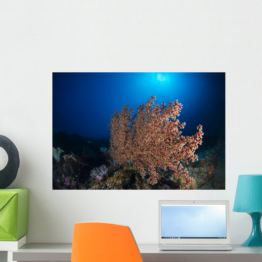 Soft Coral Reef Open Water Wall Decal