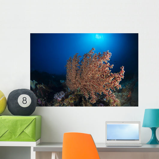 Soft Coral Reef Open Water Wall Decal