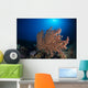 Soft Coral Reef Open Water Wall Decal