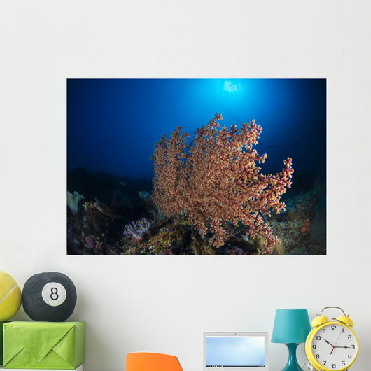 Soft Coral Reef Open Water Wall Decal