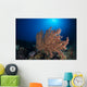 Soft Coral Reef Open Water Wall Decal