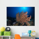 Soft Coral Reef Open Water Wall Decal